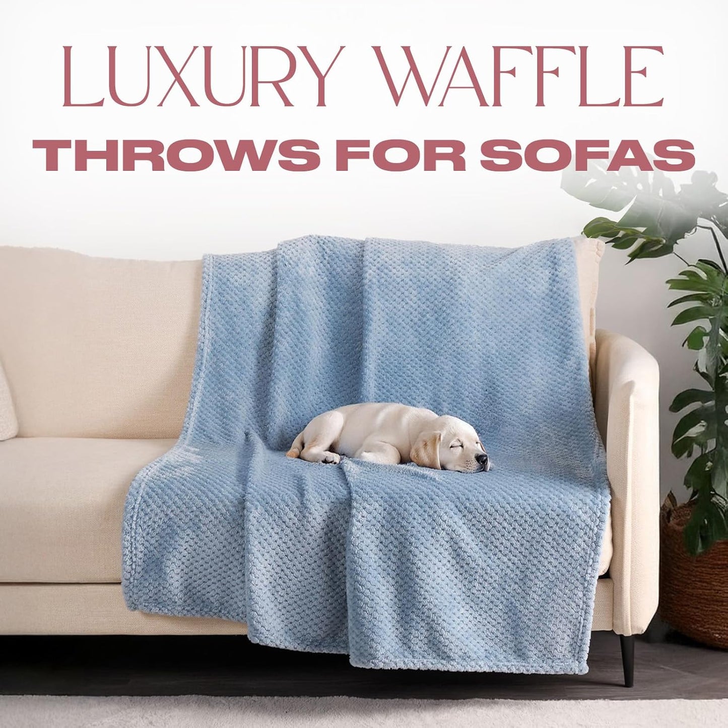 Dreamscene Sofa Throw Blanket, Soft Cosy Warm Honeycomb Waffle Fluffy Fleece Blankets for Bed Single Bed Throws Faux Fur Charcoal Grey Throw for Sofa, 125 x 150cm
