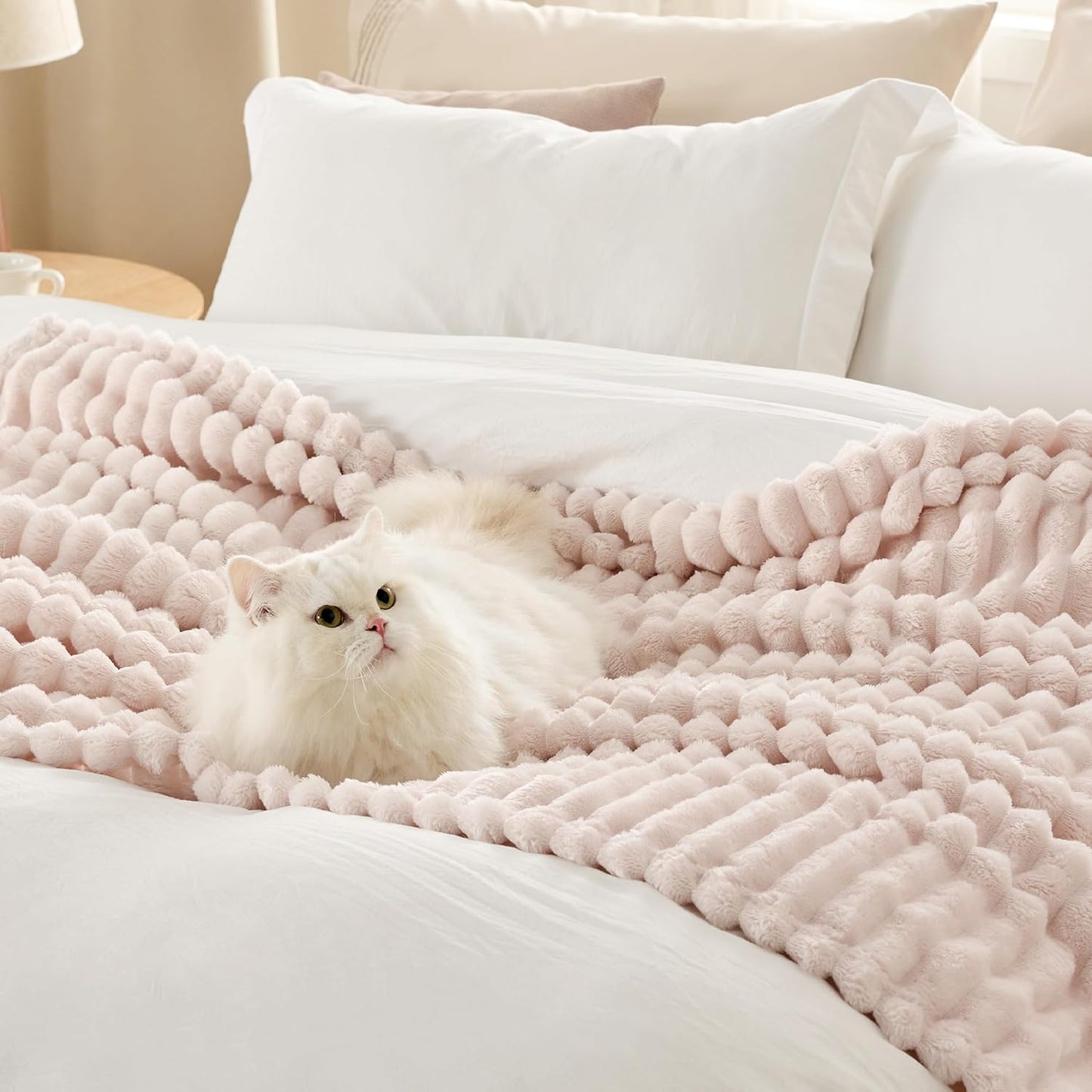 Bedsure Fleece Throw Blanket for Sofa - Fluffy Cosy Warm Blankets for Bed, Soft Cute Single Throw Gifts for Women and Girls, Ashley Blue, 130x170 cm